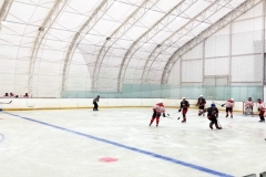 Хоккейные сборы в ледовом комплексе «Арена-Вектор»